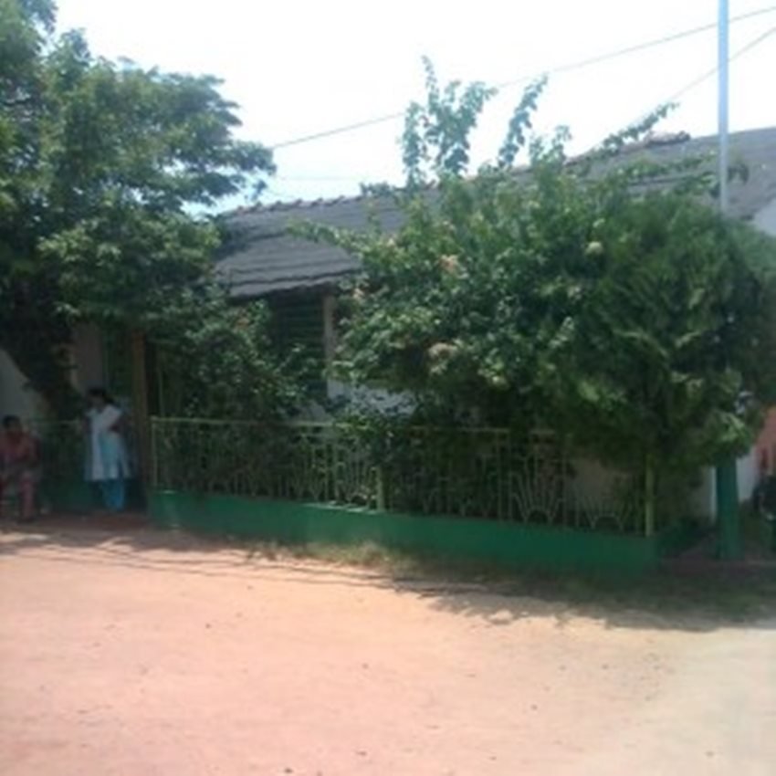 Mamta Banerjee Networth, Mamta Banerjee Marriage