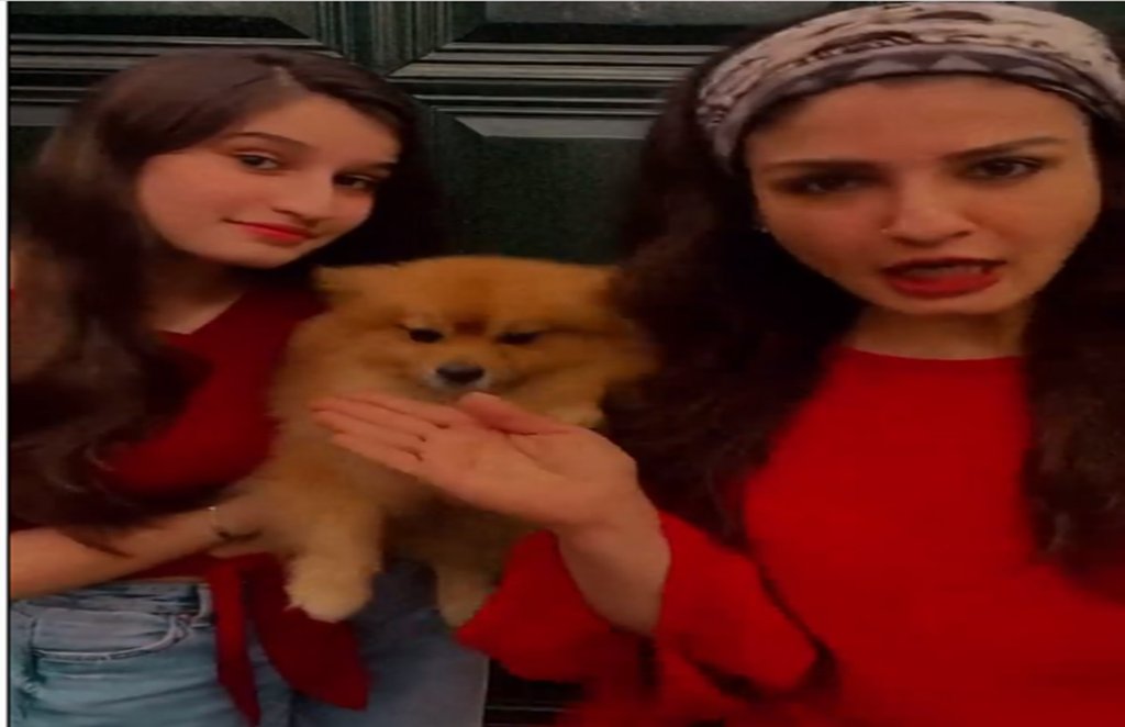 raveena tondon, shehnaaz gill, raveena tondon viral video