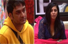 vikas gupta, arshi khan, bigg boss 14