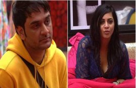 vikas gupta, arshi khan, bigg boss 14