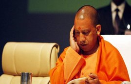 Yogi Adityanath government, stray cows