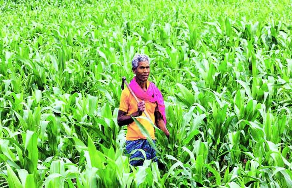 IFFCO