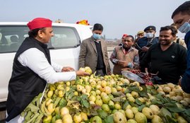 uttar pradesh news, akhilesh yadav, yogi adityanath, akhilesh yadav on yogi adityanath