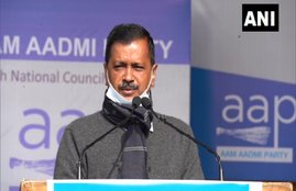 aap, arvind kejriwal, election