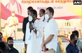Congress, Rahul Gandhi, Tamil Nadu