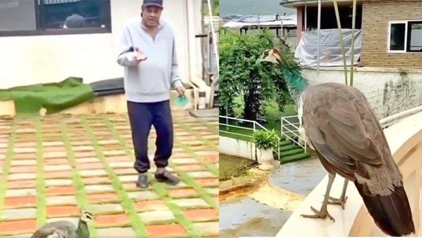 Hema Malini Sunny Deol Rift, Sunny Deol Stepmother, Dharmendra Wife