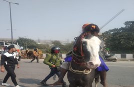 Tractor rally, farmers protest