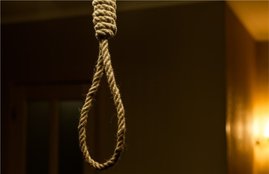suicide , farmer , death
