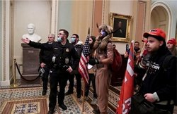 अमेरिकी संसद पर प्रदर्शन के दौरान तिरंगा लहराने वाले शख्स के खिलाफ केस दर्ज