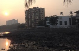 ratan tata , kolaba , mumbai