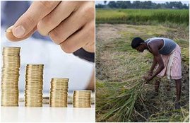 India GDP, economy impact of coronavirus, agriculture sector