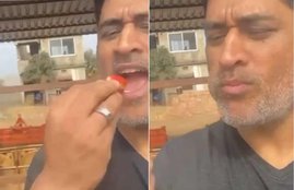 MS Dhoni, instagram, post, strawberry, farm, Ranchi
