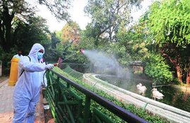 coronavirus, coronavirus vaccine, covid 19 vaccine, bird flu, bird flu in india, bird flu news, bird flu live news in hindi, bird flu latest news in hindi, covid 19 vaccine india news, pm modi, narendra modi, modi, coronavirus news, india covid 19 news, new covid variant, new covid variant cases in india, new covid 19 strain cases in india, coronavirus today news, coronavirus india, coronavirus india news, corona cases in india, india news, coronavirus news, covid 19 latest news, covid 19 india