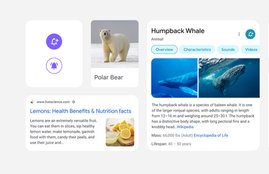 google,google search,google search on mobile,google search redesign