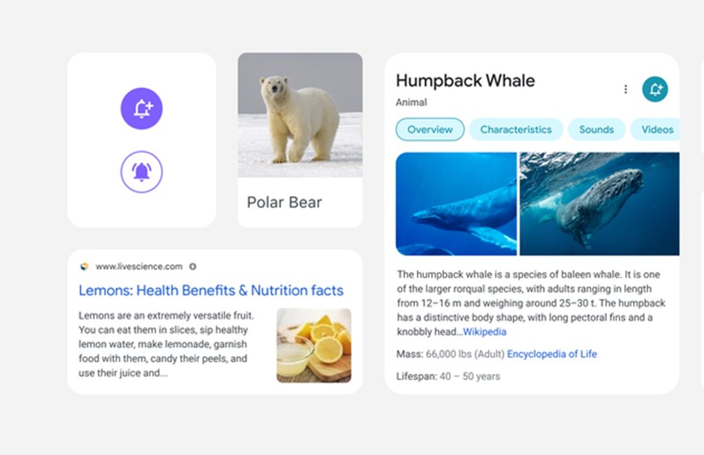 google,google search,google search on mobile,google search redesign