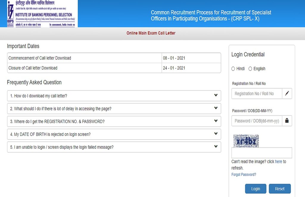 ibps so mains admit card, ibps so mains admit card download, ibps afo mains admit card,