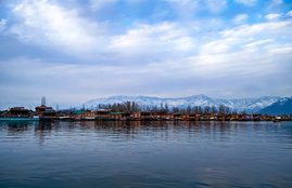 kashmir generic