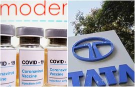 tata, corona, moderna
