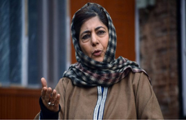 pdp chief mahbooba mufti, article 370, farmer protest