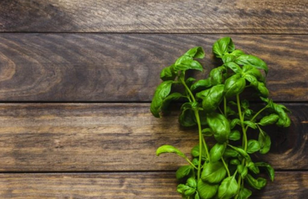 basil leaves benefits, basil leaves, basil leaves health benefits