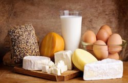 Vitamin D Foods: सर्दियों में धूप से नहीं होती कमी पूरी, इन फूड्स से करें विटामिन डी की आपूर्ति