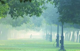Air Pollution