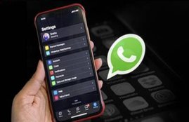 WhatsApp, WhatsApp Status, Messaging apps, WhatsApp news, WhatsApp Status show on users phone,