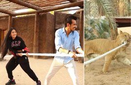Yuzvendra Chahal, Dhanashree, instagram, video