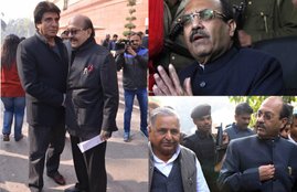 amar singh Jaya Prada Relation, Amar Singh Wife
