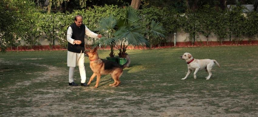 Dinesh Trivedi Wife, West Bengal Election