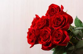 Rose day, Valentine's day, Rose health benefits, weight loss, constipation