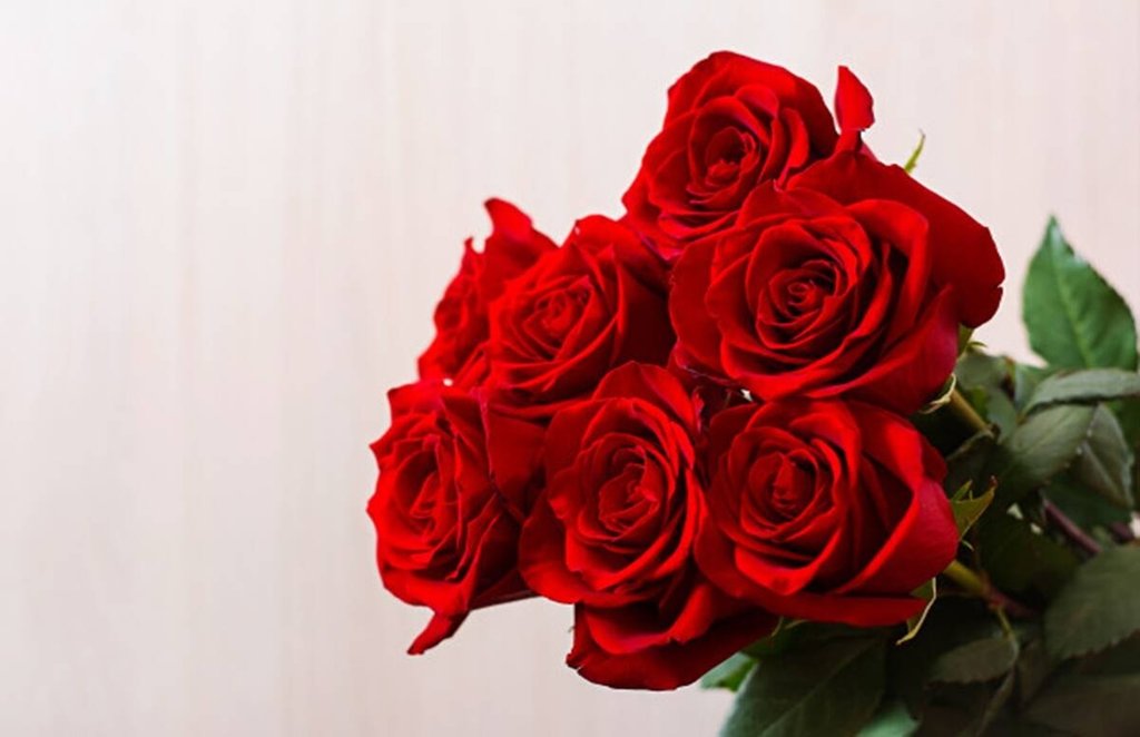 Rose day, Valentine's day, Rose health benefits, weight loss, constipation
