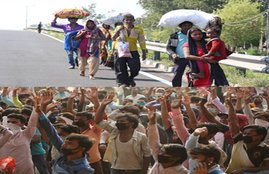 The Indian Express Think Migration Series