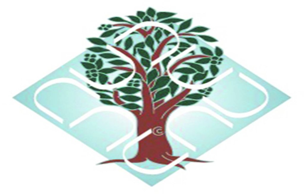 Institute