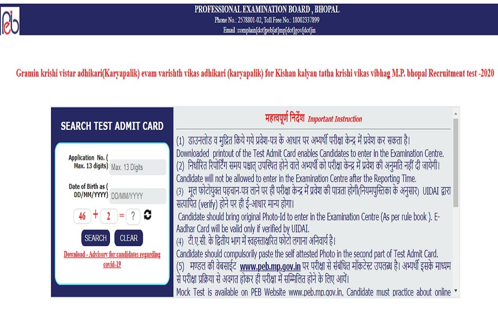 RAEO Admit Card, RAEO Admit Card 2021, MPPEB RAEO Admit Card, MPPEB Admit Card 2020, peb.mp.gov.in admit card 2020