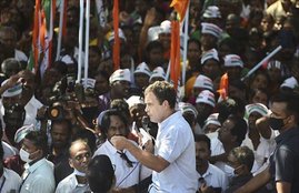 Rahul Gandhi, Congress, BJP, Tamil Nadu