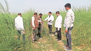 UP Unnao Crime