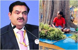 gautam adani, adani group, adani foundation
