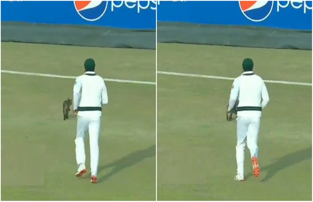 Pakistan vs South Africa, mohammad rizwan, trolls, azhar ali