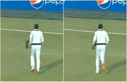PAK vs SA: रावलपिंडी में दिखा अजीबोगरीब नजारा, बिल्ली को पकड़ने के लिए भागे पाकिस्तान के अजहर अली; देखें VIDEO