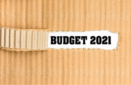 aam budget, tv show, modi government