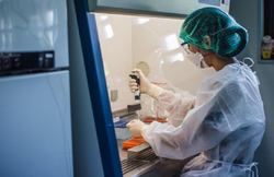 WHO ने कहा-86 देशों तक पहुंच चुका है कोरोना का नया वेरिएंट, रोग की गंभीरता में वृद्धि के प्रमाण सामने आए