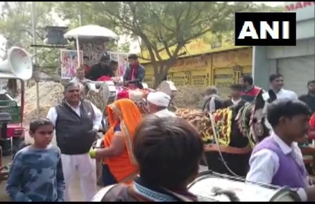 Cow Worship Cow Worship