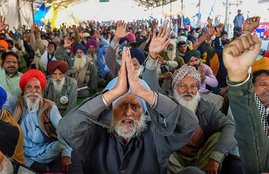 farmer protest. farm laws , singhu border