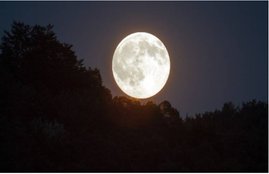 magh purnima, religion, magh purnima 2021