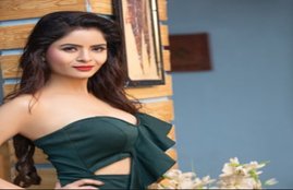 gehana vasisth, gehana vasisth arrest case, gehana vasisth arrest reason