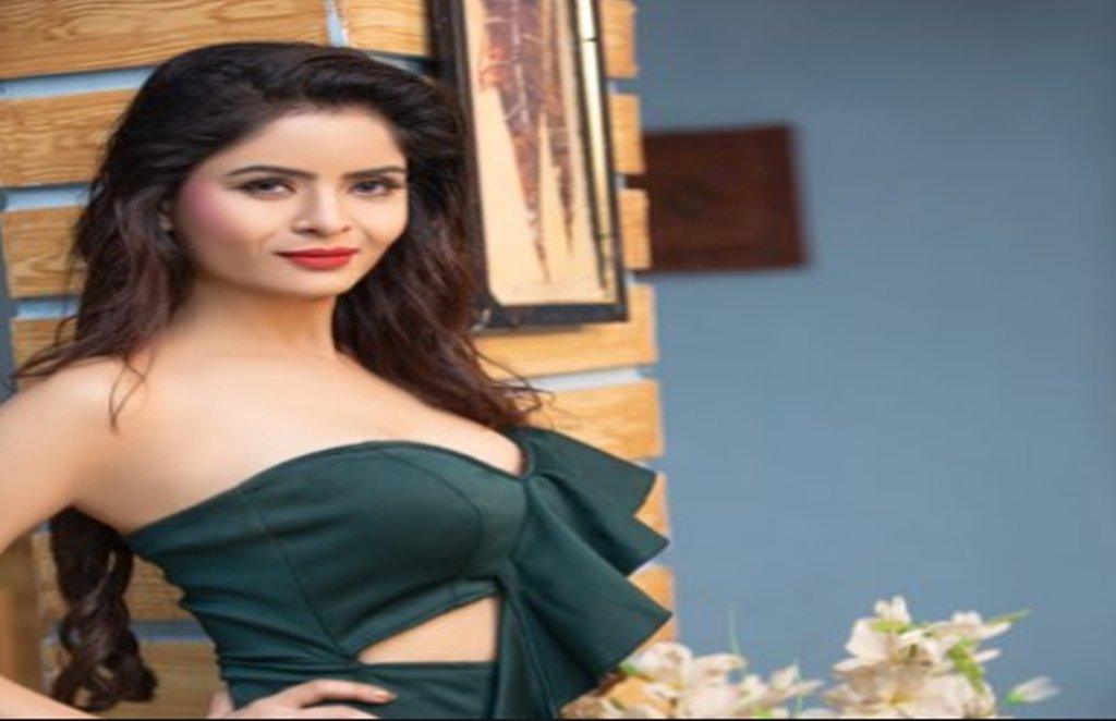 gehana vasisth, gehana vasisth arrest case, gehana vasisth arrest reason