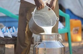 Milk Farmers, Farmers Protest