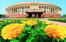 parliament
