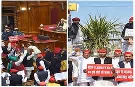 samajwadi party